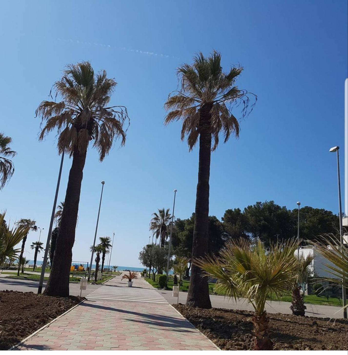 Amaris Apartments Durrës Cameră foto